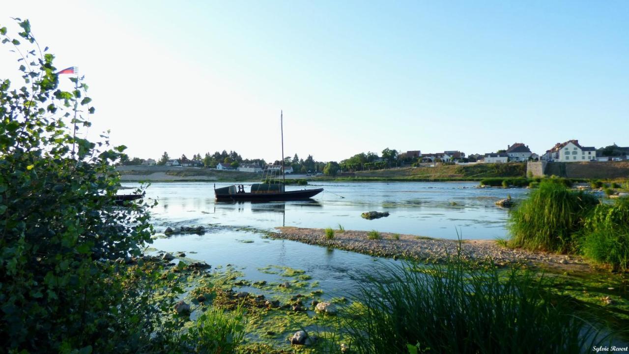 La Vue Loire Maison Saint-Denis-de lʼHôtel Kültér fotó